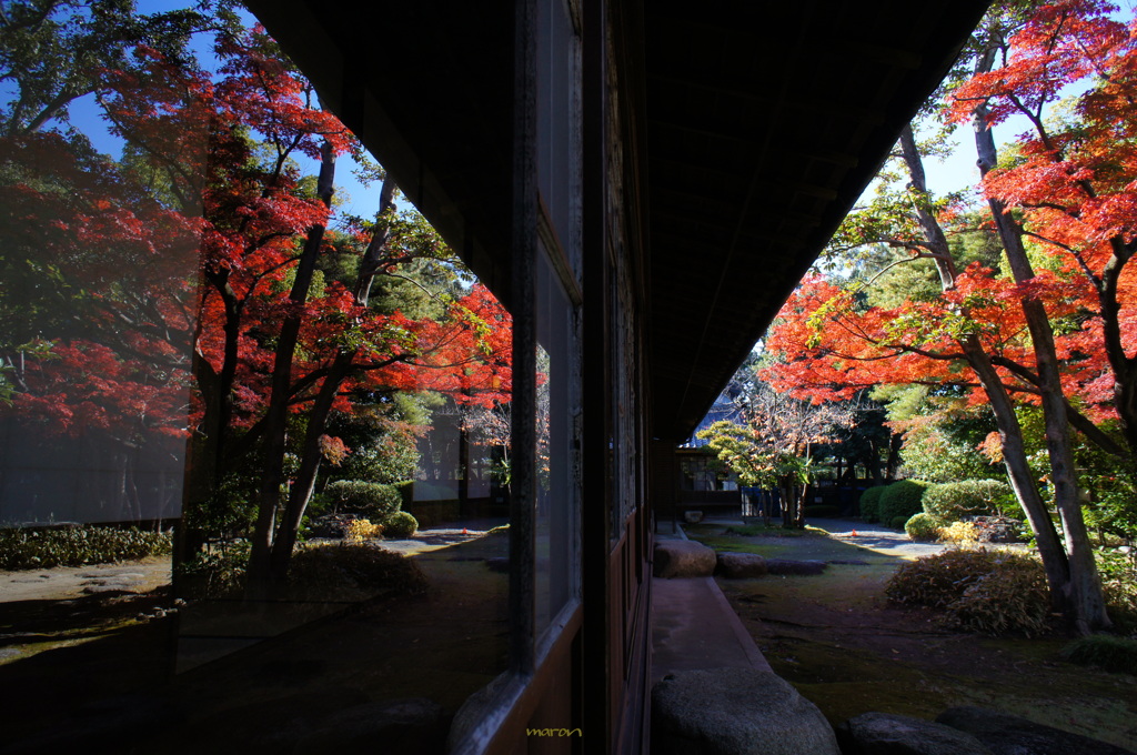 三重県の六華苑の紅葉がキレイな景色をバックに撮った和装前撮りフォト