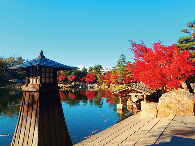 徳川園の紅葉ロケーションフォトスポット