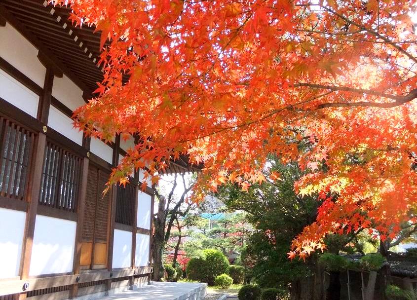東山荘の和装ロケーションフォトの紅葉スポット写真