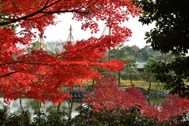 白鳥庭園の紅葉スポットは、和装前撮り写真が映える場所