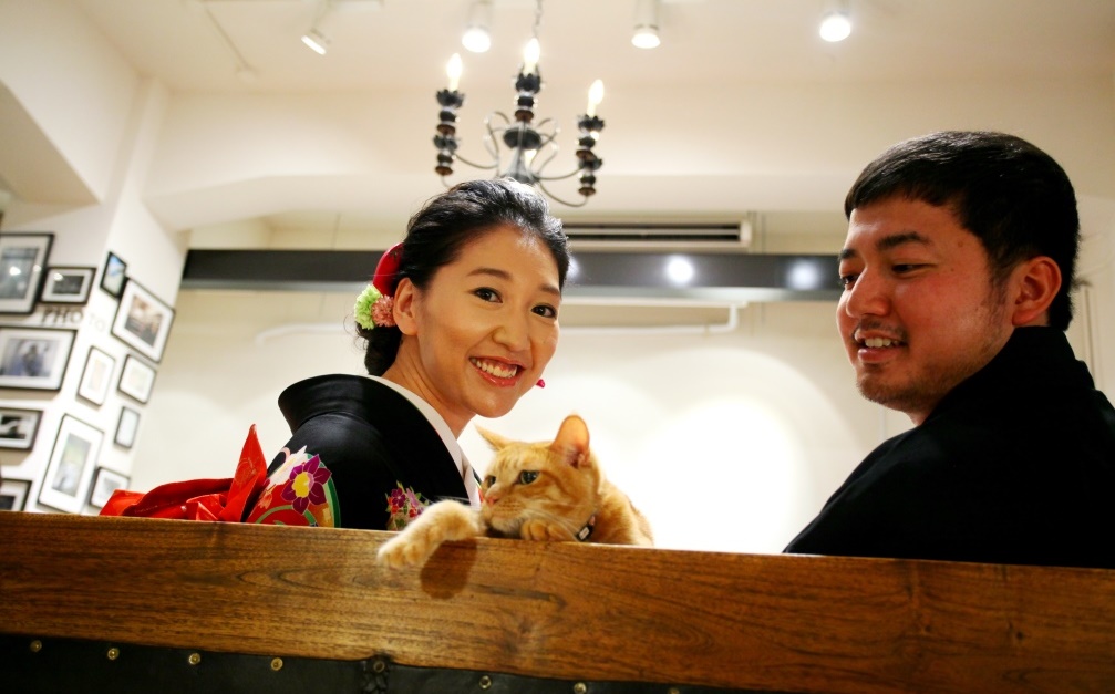 愛猫 むぎこ フォトウェディング 前撮りは名古屋のオシャレなウェディングアベニュー