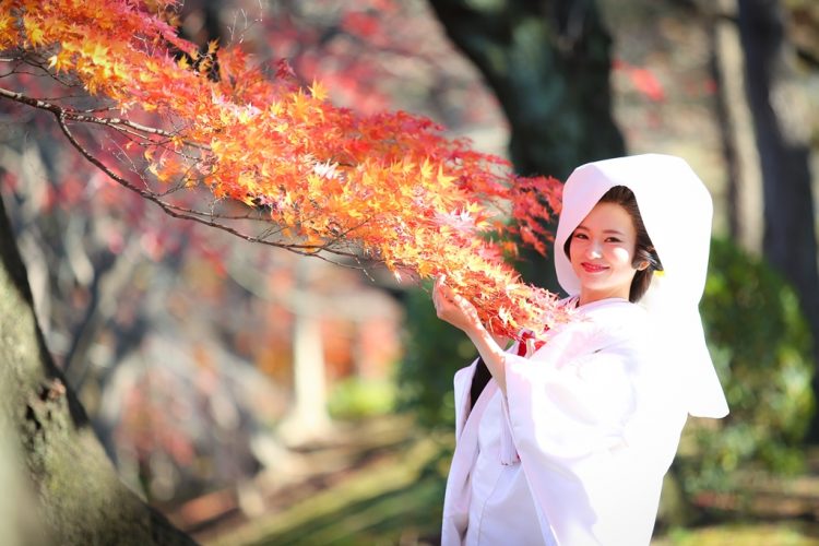 紅葉と美人な新婦