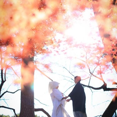 紅葉の美しい結婚写真