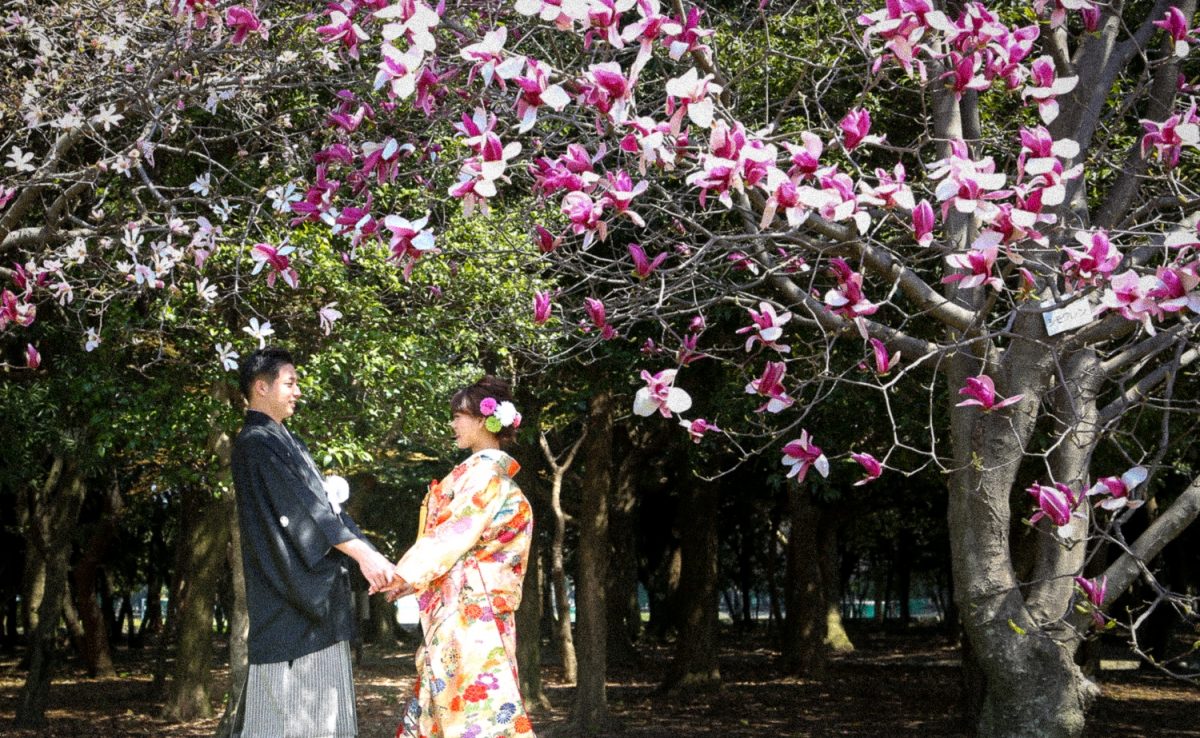 公園での和装前撮り撮影！