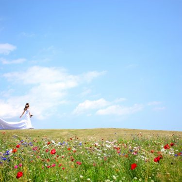 青空と色とりどりのお花畑がかわいい風景の中で撮影した結婚写真