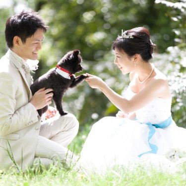 ロケーションフォトで愛犬の可愛いポーズ