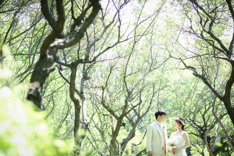 緑のキレイな大高緑地公園でフォトウェディング