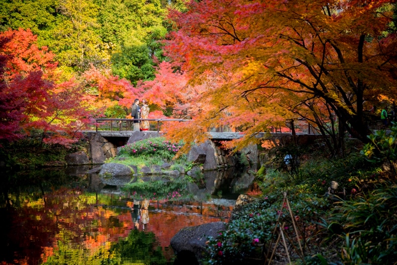 徳川園のキレイな庭園をバックに紅葉ロケーションフォトを撮る