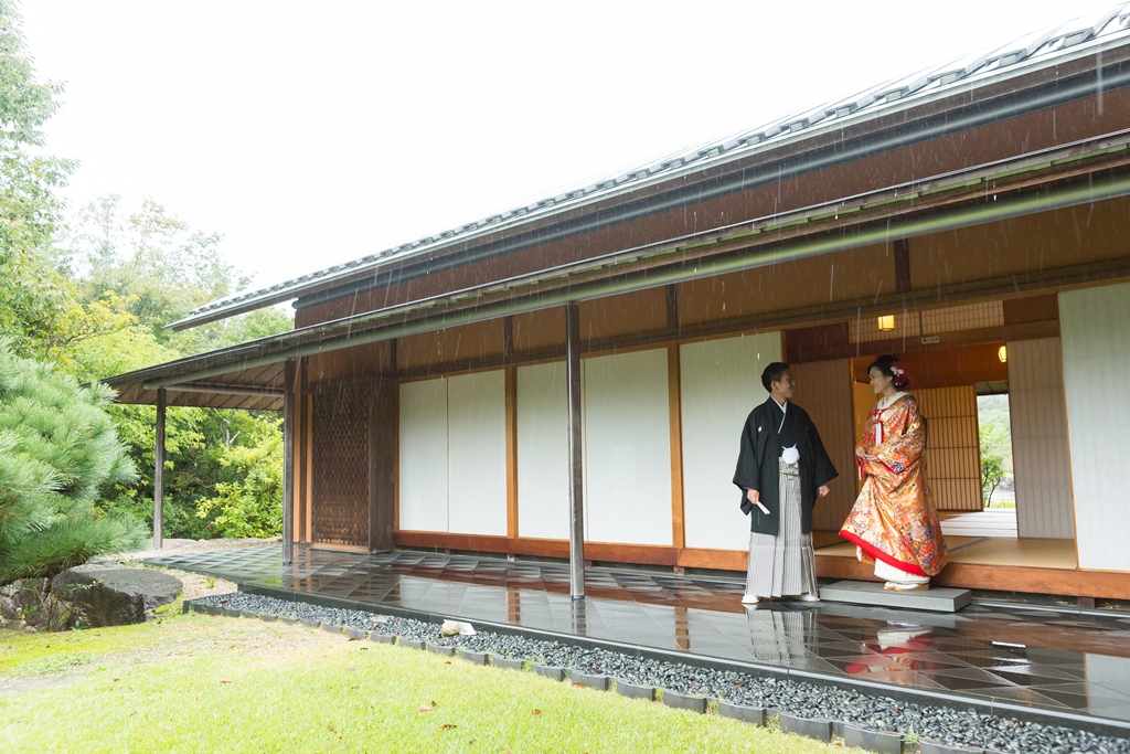 雨の雫が綺麗な撮影