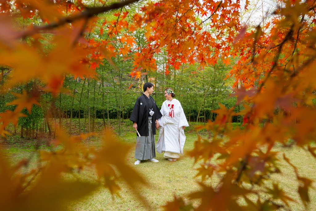 紅葉の綺麗な中で。