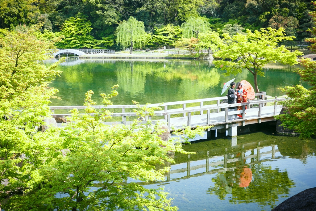 日本の春に包まれながら