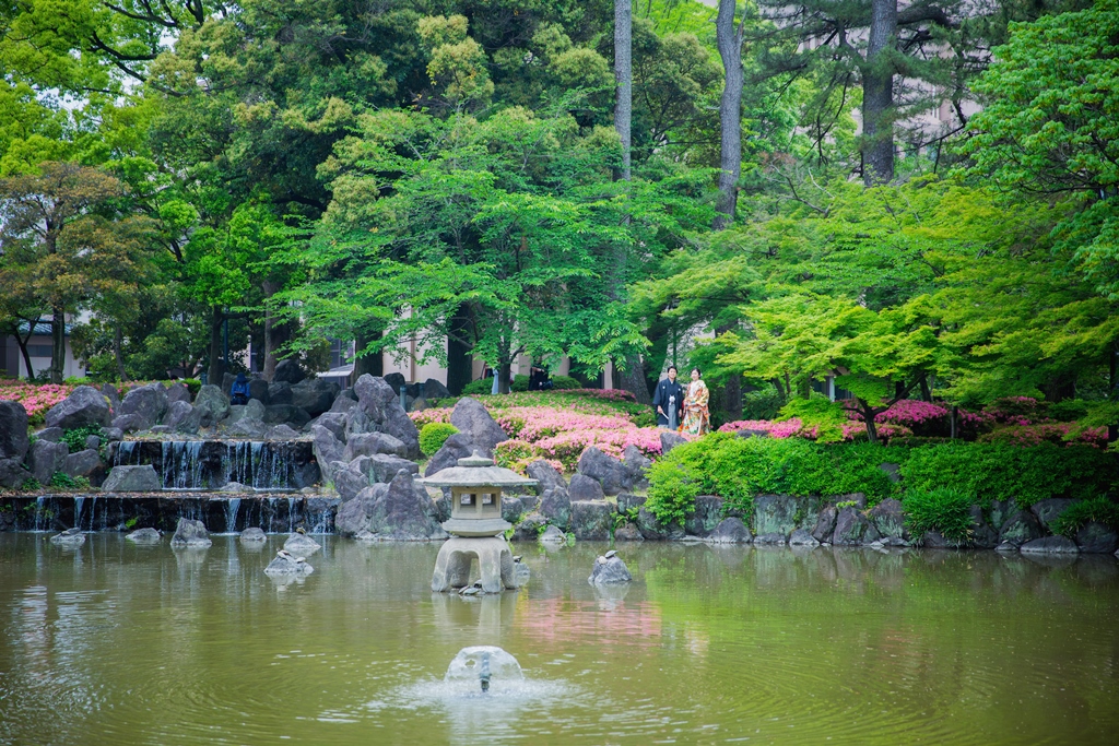 中村公園で新緑撮影