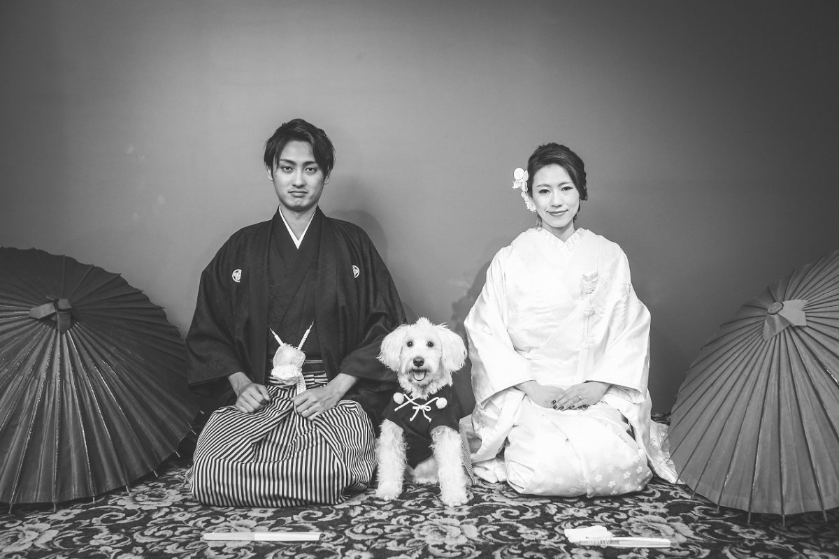 凛々しい新郎様と綺麗な新婦様の和装前撮りwith愛犬