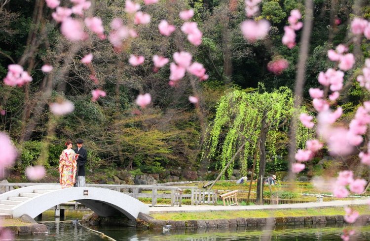 河津桜と新郎新婦