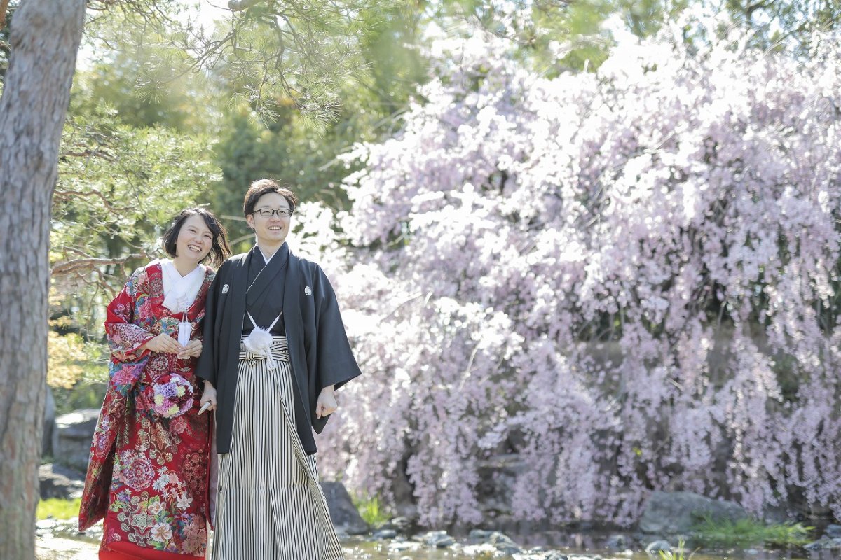 桜満開！圧巻の白鳥庭園で撮影