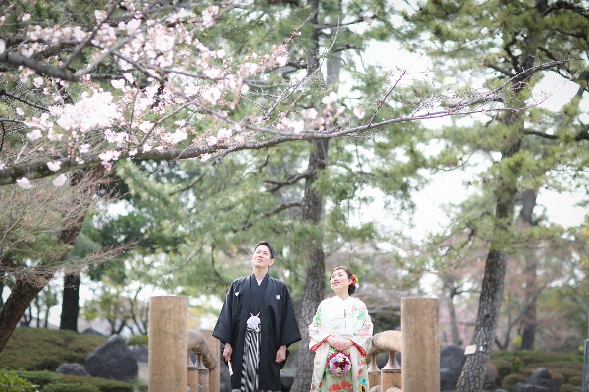 念願の桜とロケーション和装撮影