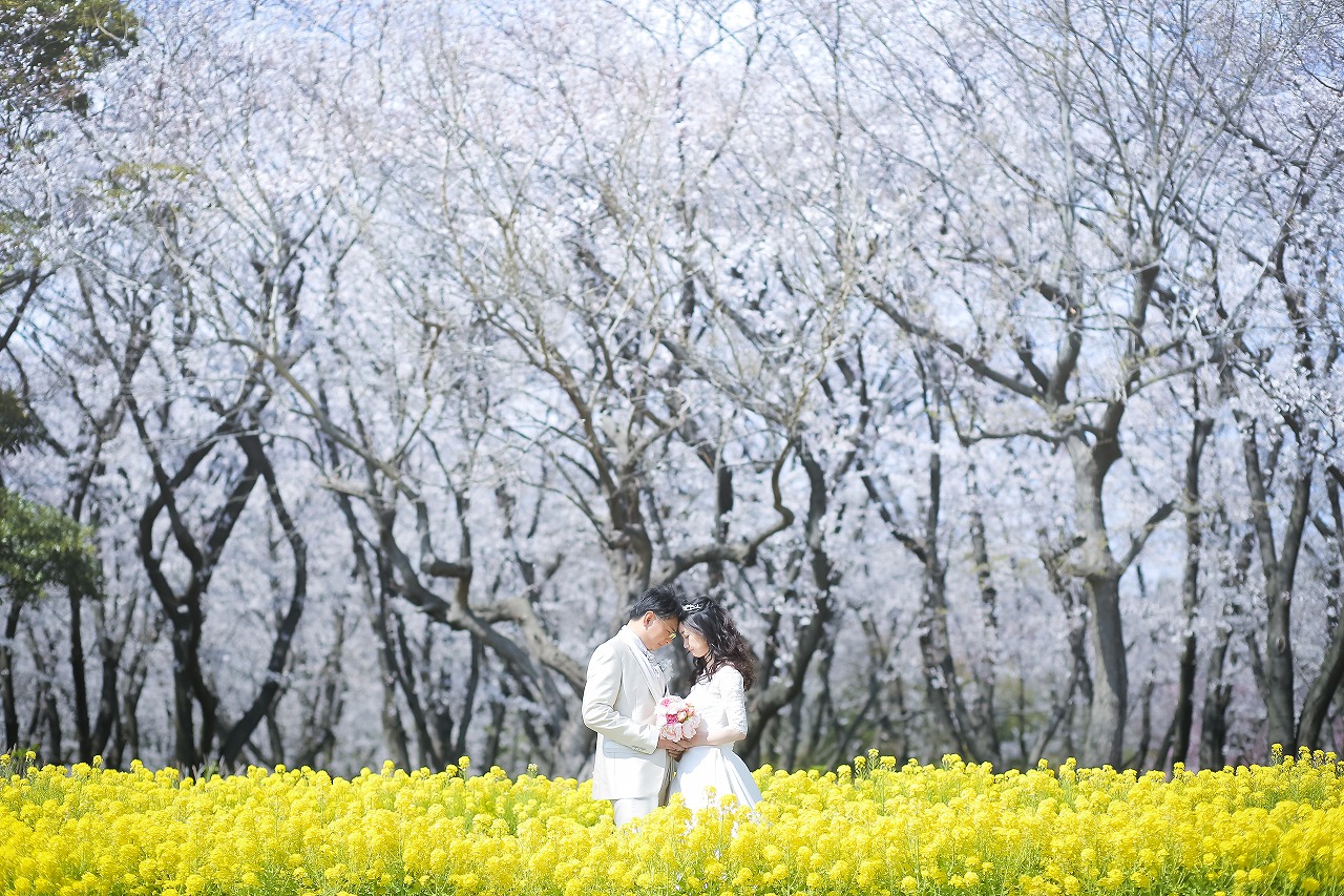 洋装&和装。しっとり大人な撮影。