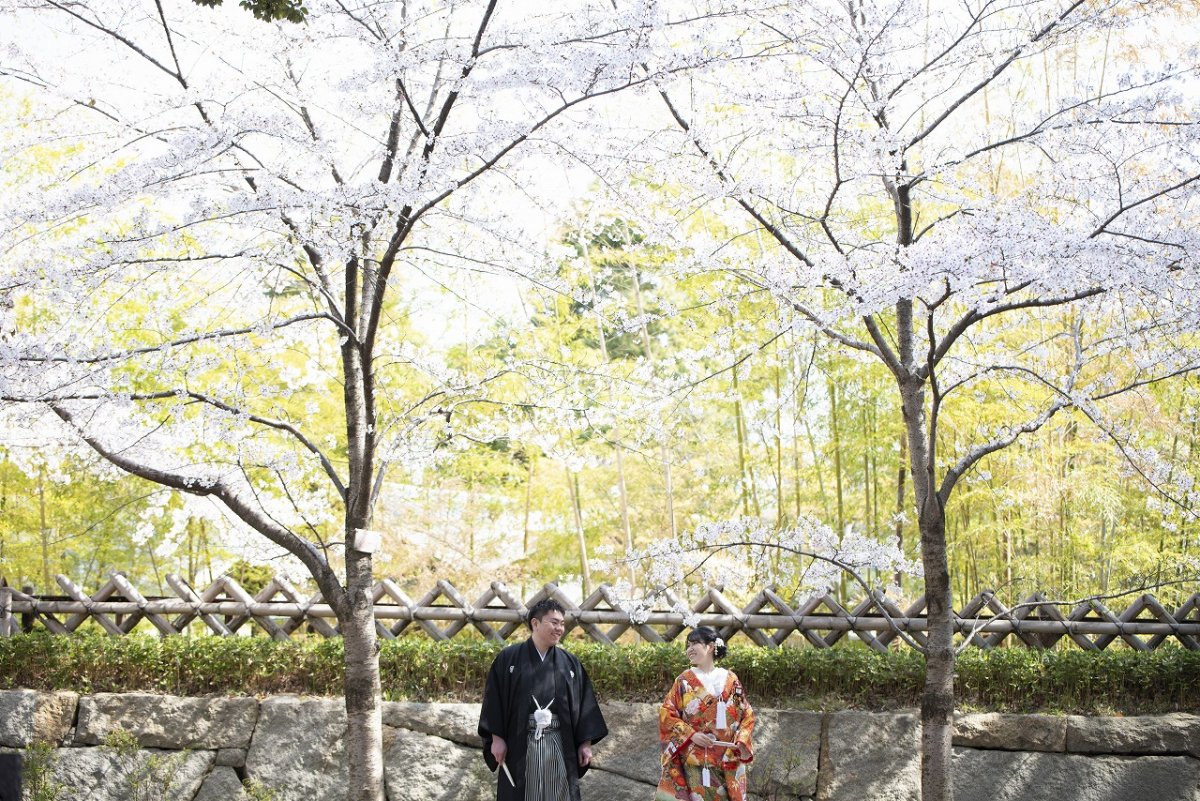 桜と笑顔満開の和装撮影✿