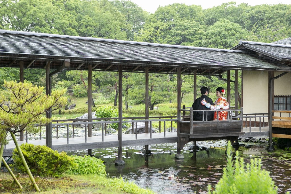 雨の雫が綺麗な梅雨の撮影