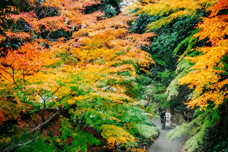 紅葉にみとれる白無垢姿の新婦様