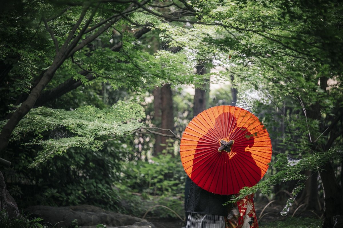 深く色鮮やかな緑の中で心温まるウェディングフォト