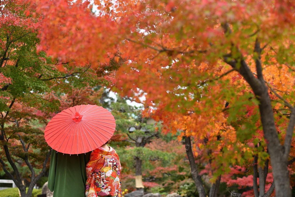 紅葉が美しい徳川園で趣ある和装前撮り