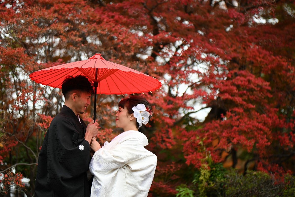 紅葉の中、真っ白な花の髪飾りや白無垢が映える前撮り