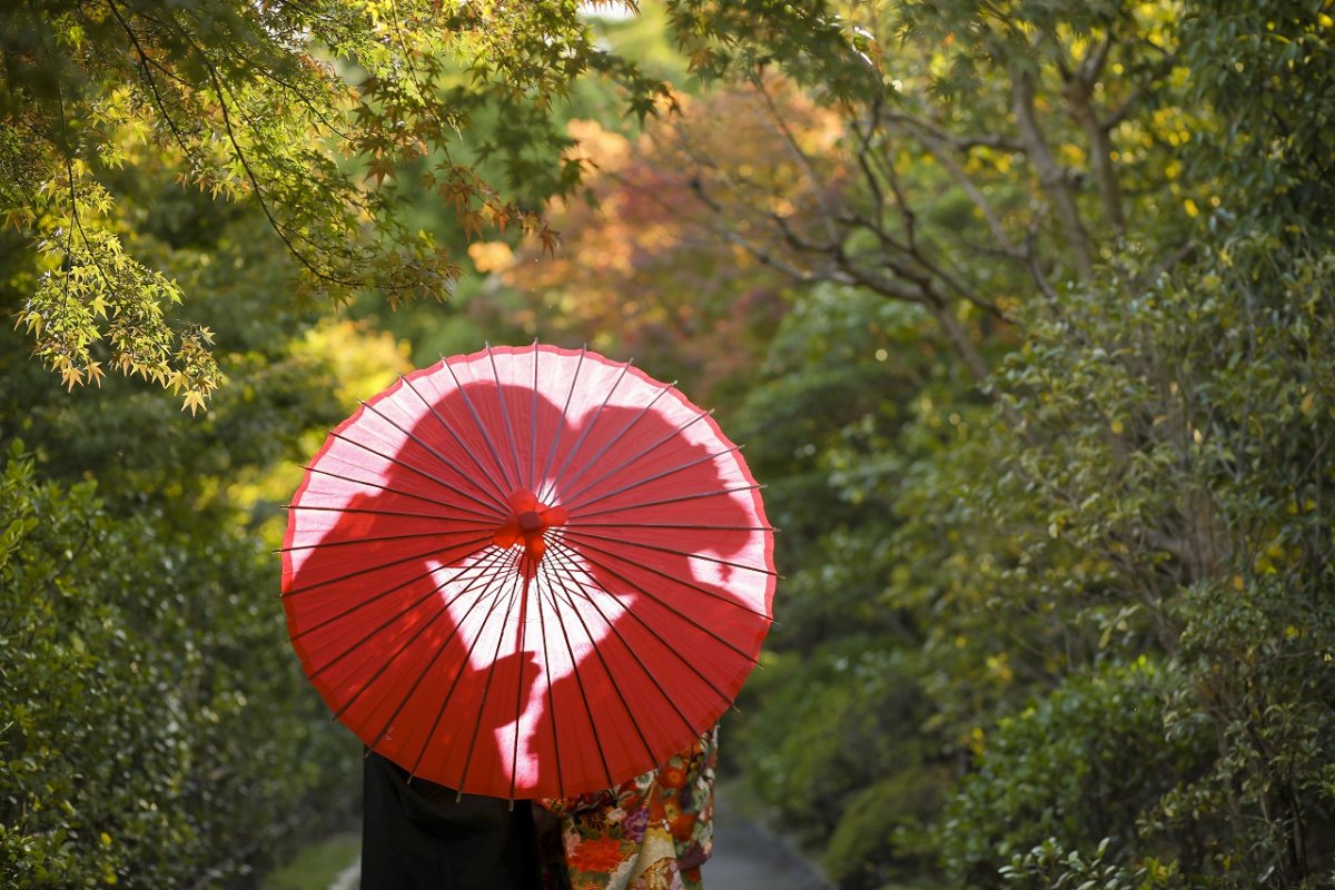 光と影のコントラストが美しい前撮り撮影In徳川園