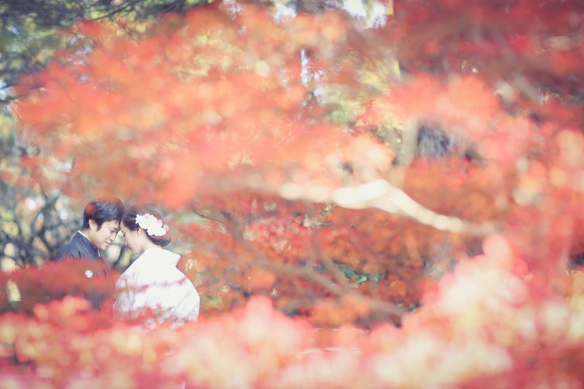 紅葉×白無垢が圧巻の結婚写真