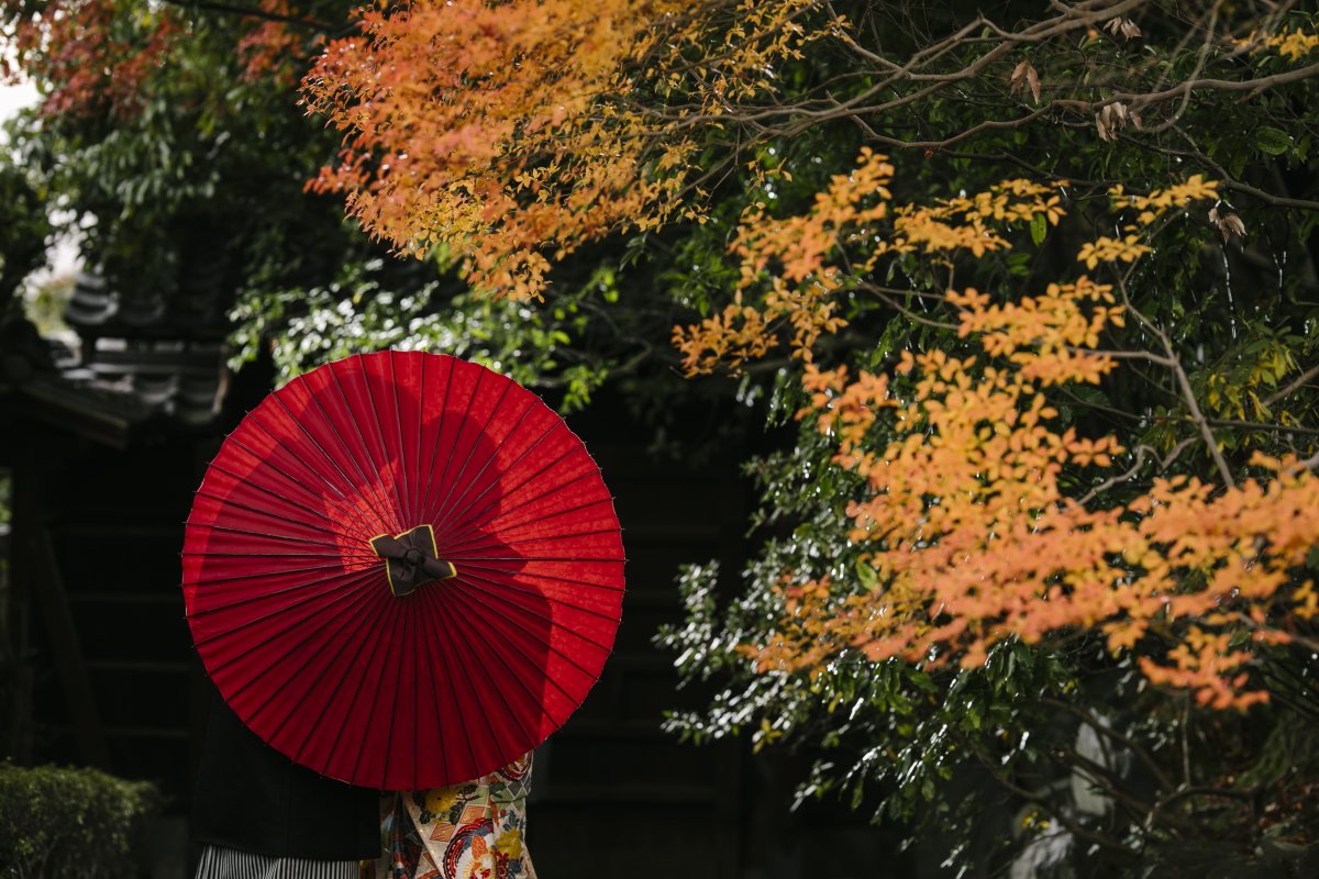 紅葉が美しいどうだん亭で和装前撮り