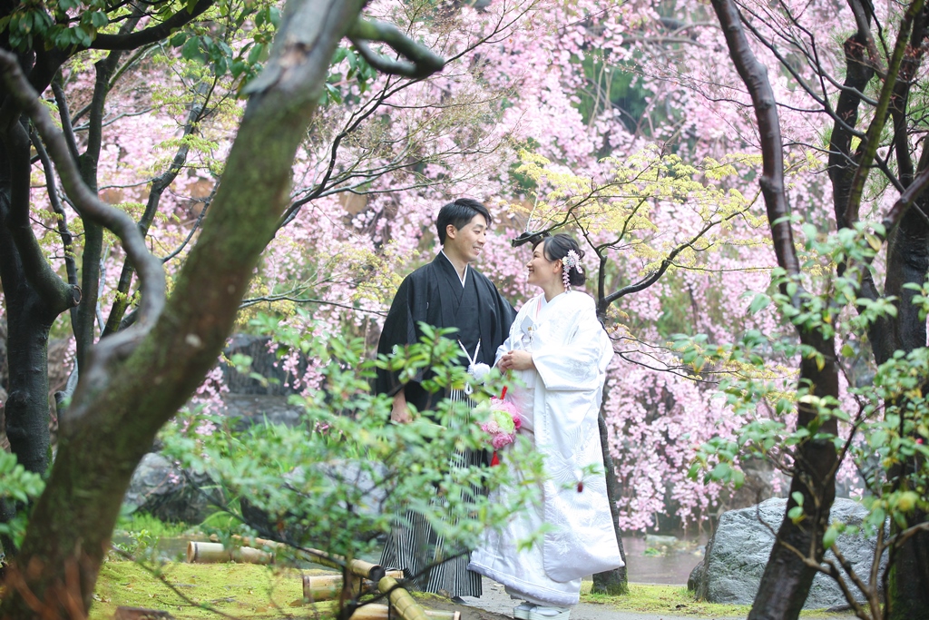 雨でも素敵に桜ロケーション撮影