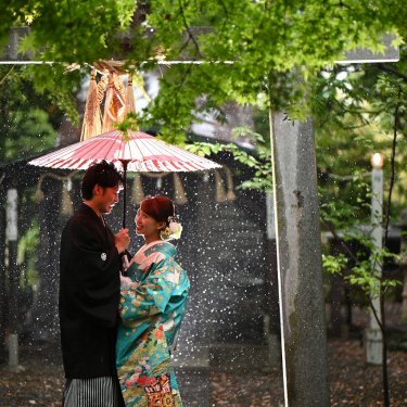 雨の中の美しい1枚