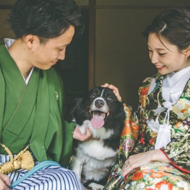 新郎新婦に愛される可愛い愛犬