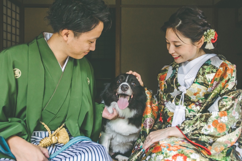 新郎新婦に愛される可愛い愛犬