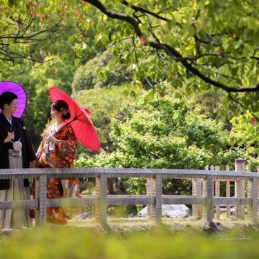 池の木の橋の上で紫と赤の和傘を差して見つめ合う紋付袴の新郎と色打掛の花嫁。白鳥庭園の和装前撮り