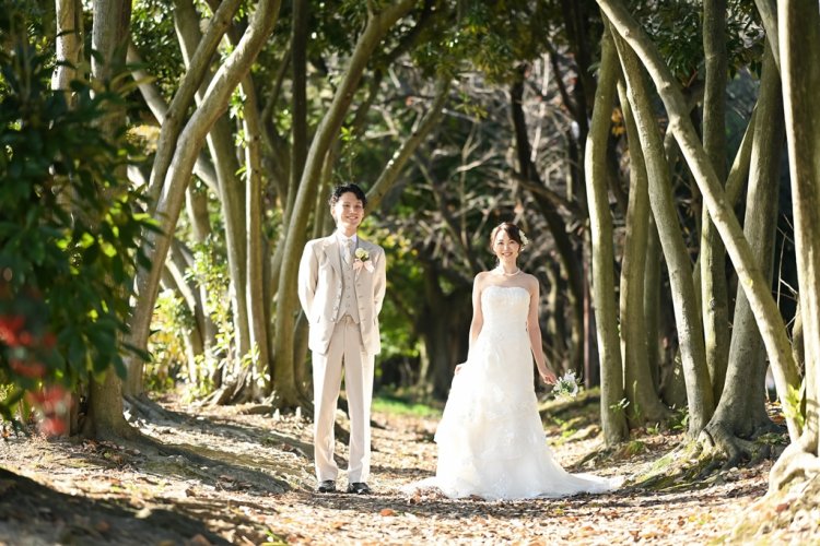 庄内緑地公園の木のトンネル