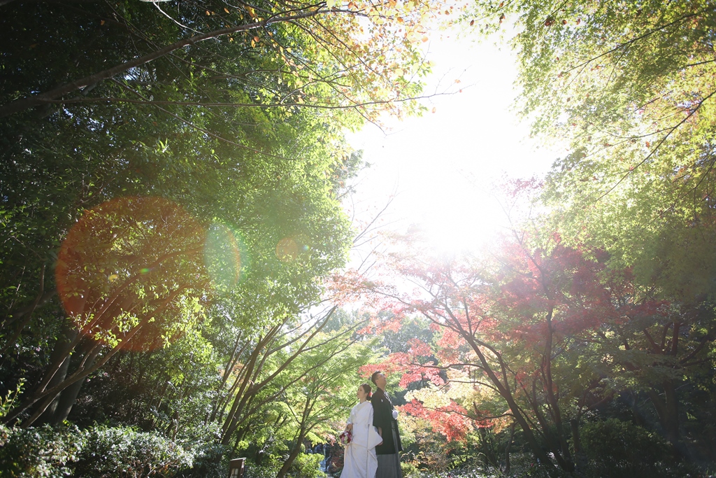 紅葉の木の下で背中合わせのふたり