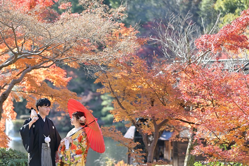 紅葉をバックに羽織替えプランで豪華撮影☆彡