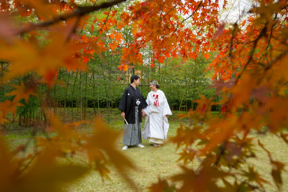 紅葉と竹林の相性最高☆