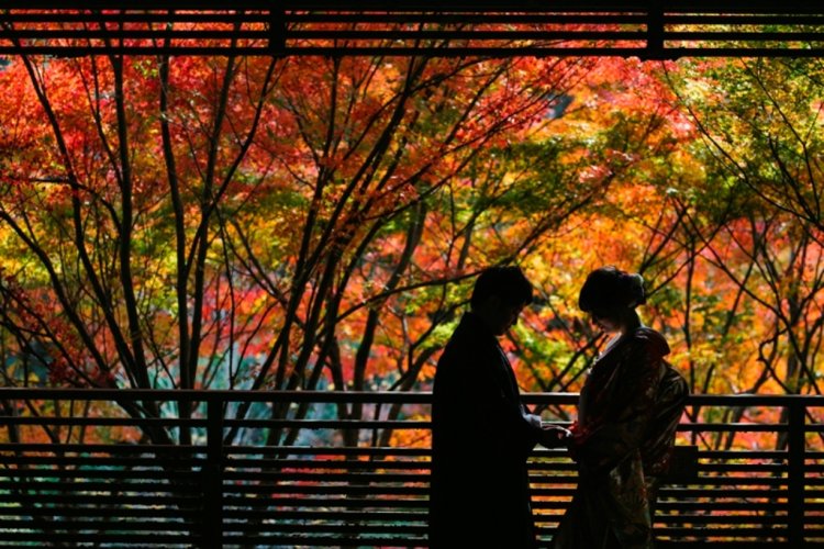 秋ならではの紅葉と一緒に宗節庵で撮影