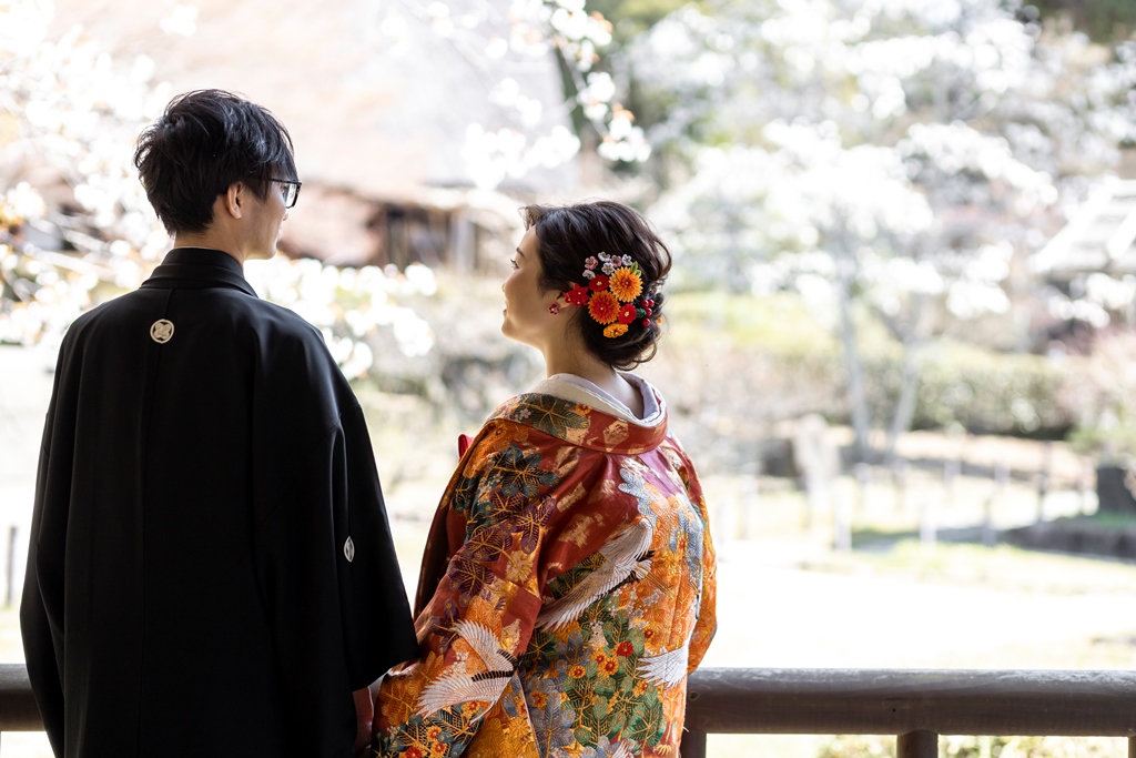 ここから見える桜は絶景