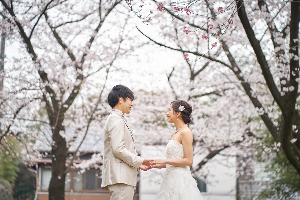 ウェディングドレスと桜