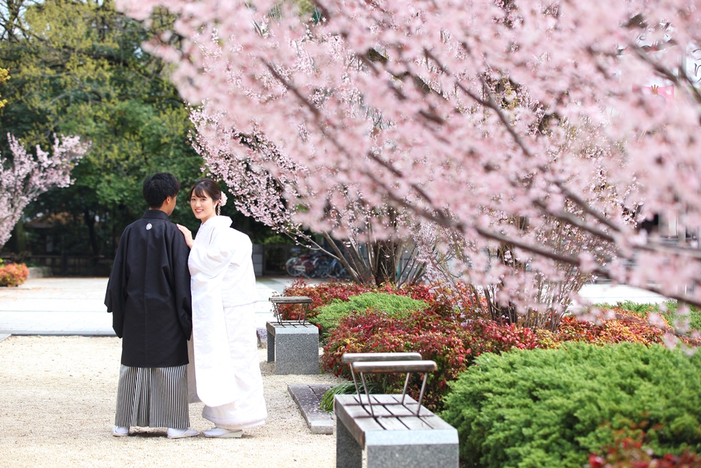 桜と白無垢