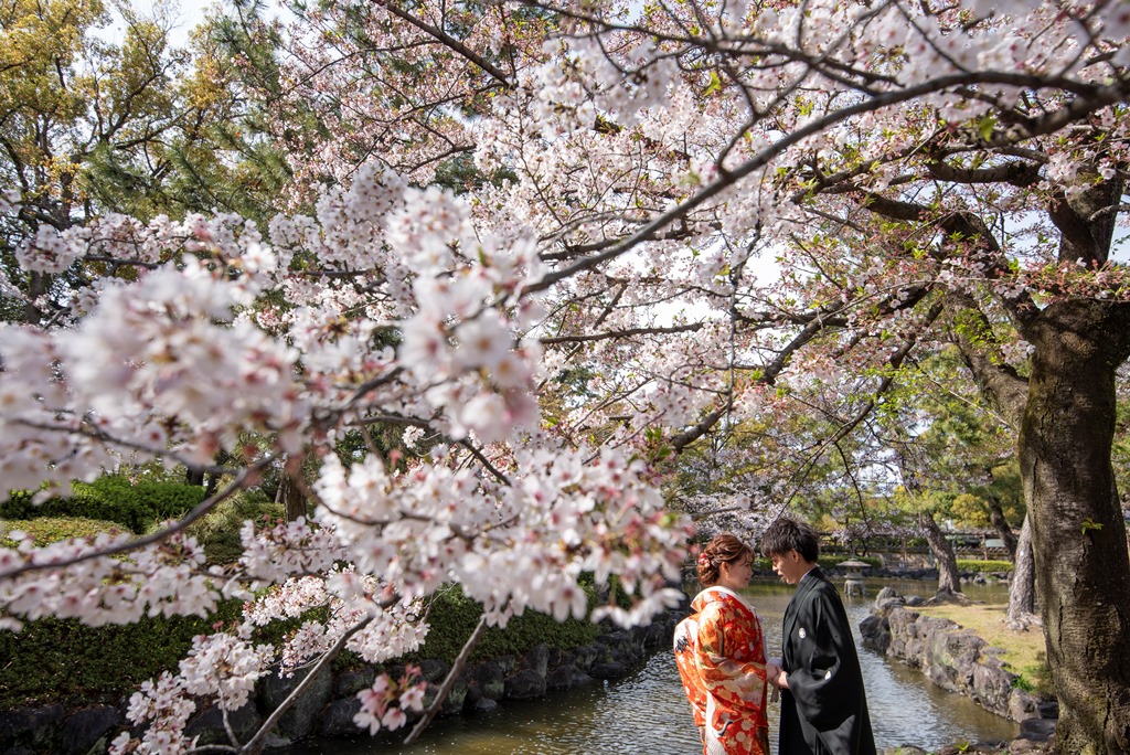 桜の下で見つめ合うお二人