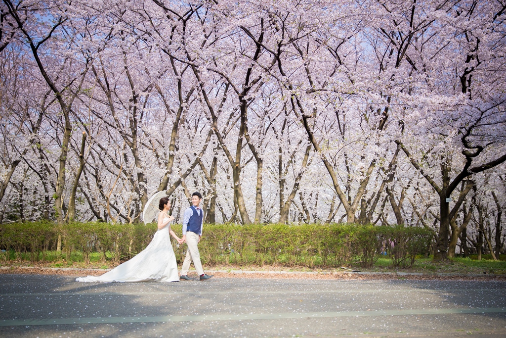 桜がいっぱいの中散歩