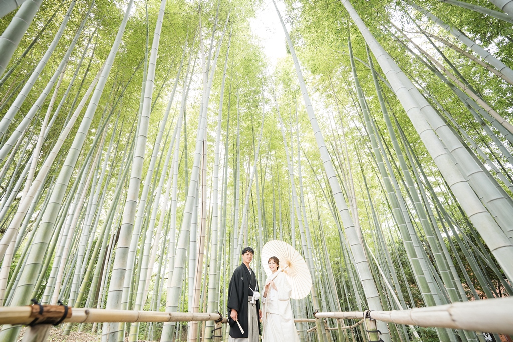 竹林の間から降り注ぐ✨木漏れ日の中での撮影♪