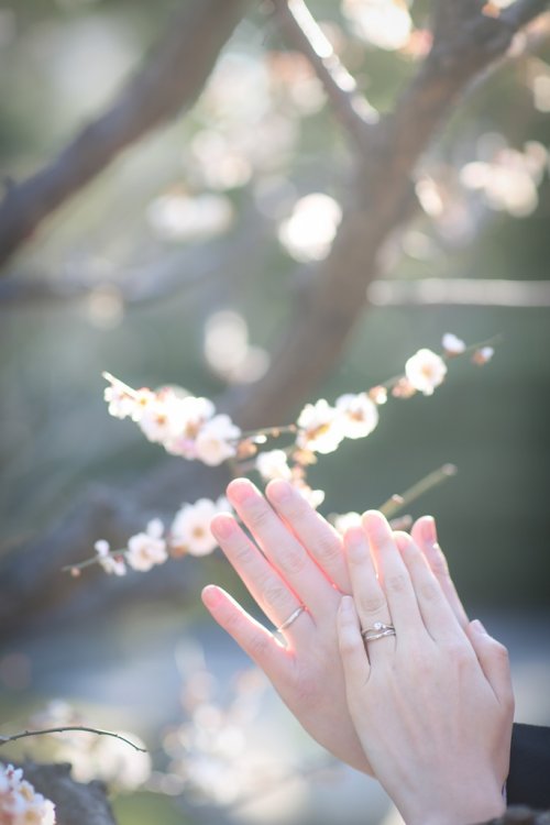 桜の前で指輪をはめた手を重ねる新郎新婦