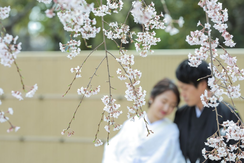 枝垂桜越しの仲の良い新郎新婦