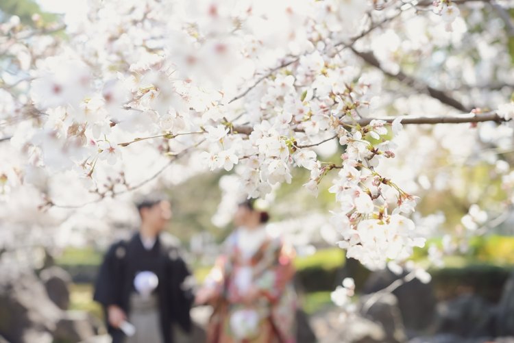 桜越しの手をつなぐ新郎新婦