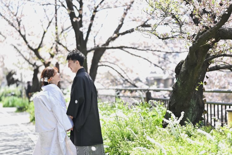 山崎川の桜の下で前撮り撮影